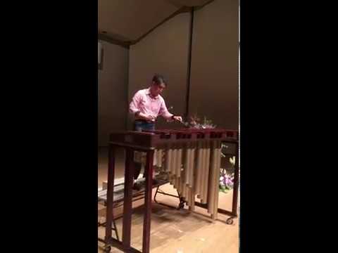 Makoto Plays Bass Marimba with Straight Pipe Resonators II
