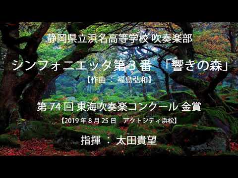 シンフォニエッタ 第3番「響きの森」/静岡県立浜名高等学校