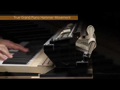The next generation Celviano Grand Hybrid GP-510 and GP-310 Hybrid Pianos from Casio