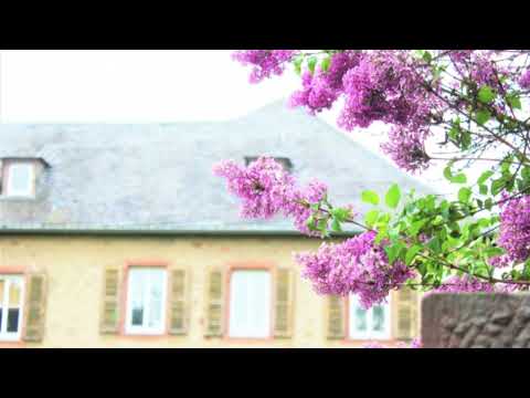 ラフマニノフ: 12の歌 Op. 21 - 第5曲 リラの花（ピアノ版）［ナクソス・クラシック・キュレーション #かわいい］／Rachmaninov：12 Songs, Op.21-5. Lilacs