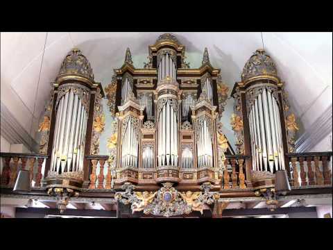 Buxtehude - Toccata BuxWV 156 - Ton Koopman