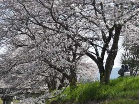 【滝廉太郎】　花