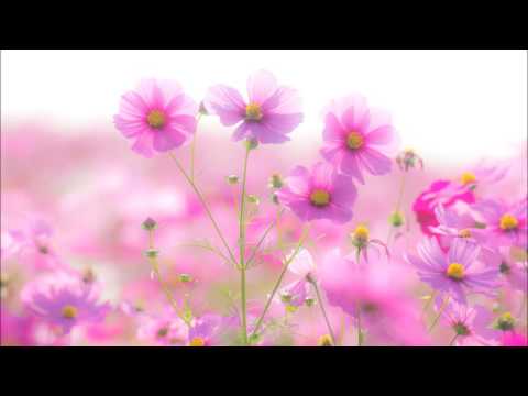 ラフマニノフ: 交響曲第2番：第3楽章［ナクソス・クラシック・キュレーション #癒し］