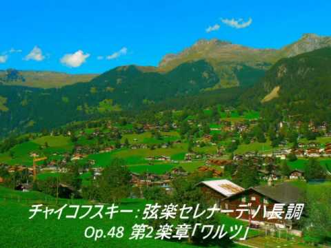 チャイコフスキー：弦楽セレナーデ ハ長調 Op.48 第2楽章「ワルツ」