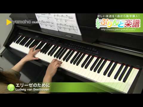 エリーゼのために / Ludwig van Beethoven : ピアノ（ソロ） / 初級