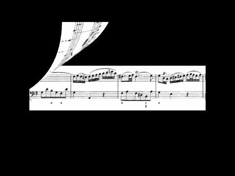 J S Bach Sonata BWV 1034: Andante Luis Beduschi + Robert Hill