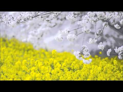 ブラームス: 交響曲第4番：第1楽章［ナクソス・クラシック・キュレーション #切ない］