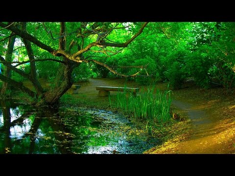 ラヴェル / ボレロ ( Ravel / Bolero )