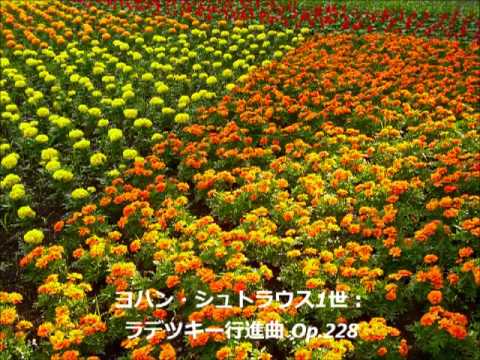ヨハン・シュトラウス1世：ラデツキー行進曲 Op 228