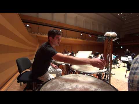 Brahms Symphony 1 opening