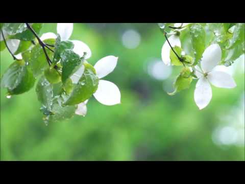 ラヴェル: 夜のガスパール：オンディーヌ(水の精)［ナクソス・クラシック・キュレーション #おしゃれ］