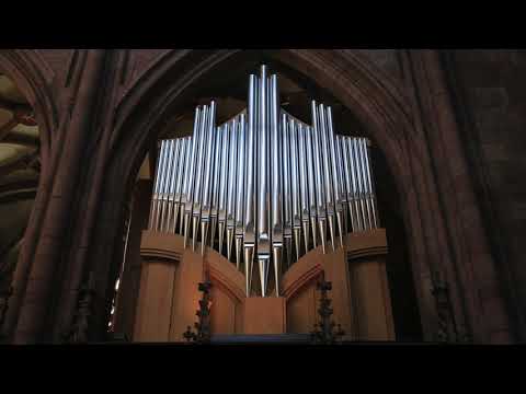César Franck: Prélude, Fugue et Variation op. 18 (Freiburger Münster)