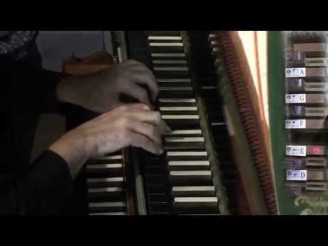 Claudio Brizi plays Ciacona in d by Johann Pachelbel