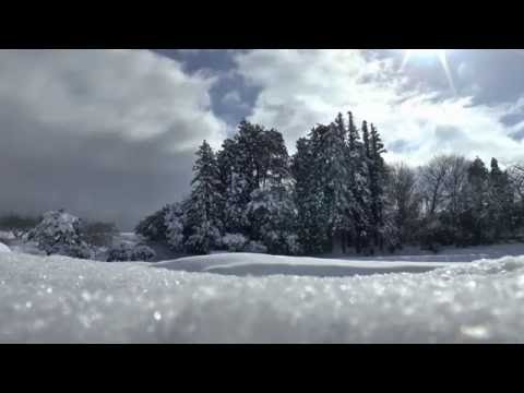 雪は踊っている ドビュッシー子供の領分