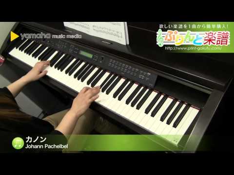 カノン / Johann Pachelbel : ピアノ（ソロ） / 初～中級