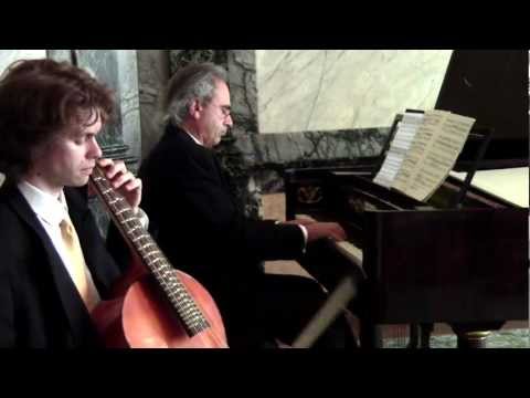 Franz Schubert : Sonata for arpeggione &amp; fortepiano - 1. Allegro moderato