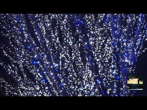 アルヴォ・ペルト：タブラ・ラサ / アンソニー, シャハム 1997