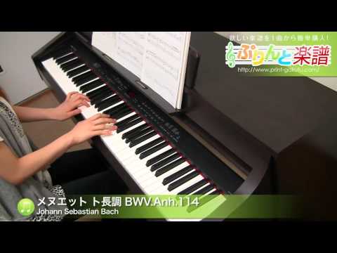 メヌエット ト長調 BWV.Anh.114 / Johann Sebastian Bach : ピアノ(ソロ) / 初級