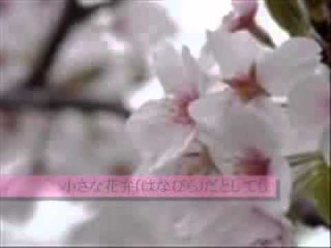 桜ノ雨　【合唱】歌詞付き