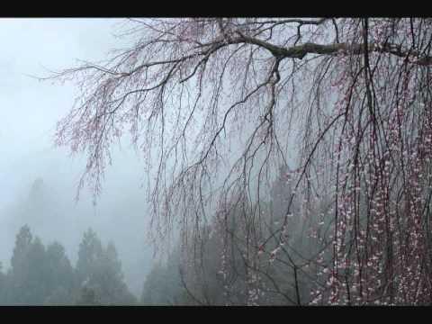 前奏曲　作品２８の１５「雨だれ」　ショパン