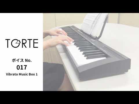 TORTE トルテ 61鍵盤 キーボード TSDK-61【超軽量 スリム設計】