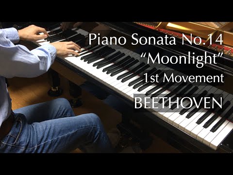 月光ソナタ 第1楽章（ベートーヴェン）Beethoven - &quot;Moonlight&quot; Sonata - 1st Movement - pianomaedaful