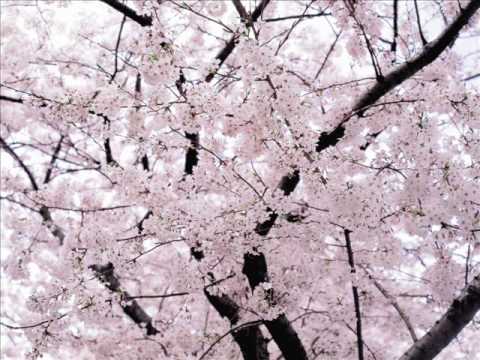 【合唱】ＹＥＬＬ　いきものがかり