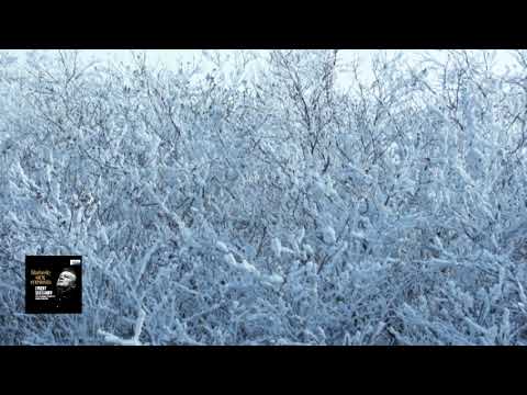 チャイコフスキー：交響曲 第1番 ト短調 作品13「冬の日の幻想」スヴェトラーノフ 1993
