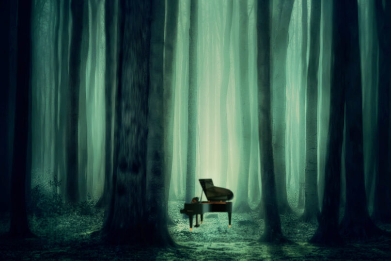 【実はあの人！】ピアノの森 キャラクター別奏者紹介！一ノ瀬海は？