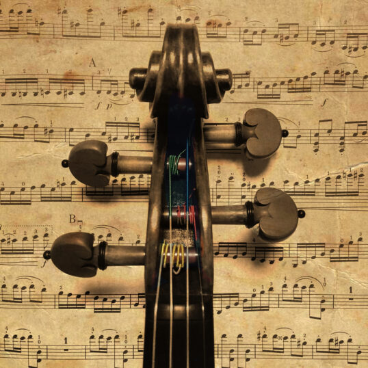ヴァイオリンの弦