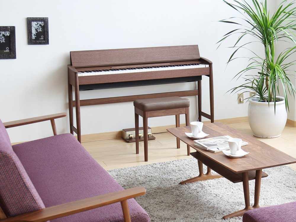 2024年12月購入：Roland-F107