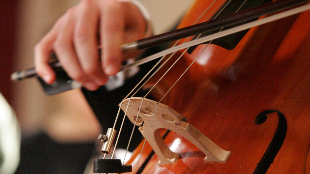 チェロの弦はどれがおすすめ？種類や組み合わせ、人気ブランドなども解説